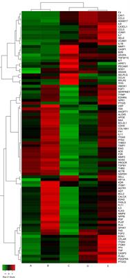 Pre-Exposure to Defibrotide Prevents Endothelial Cell Activation by Lipopolysaccharide: An Ingenuity Pathway Analysis